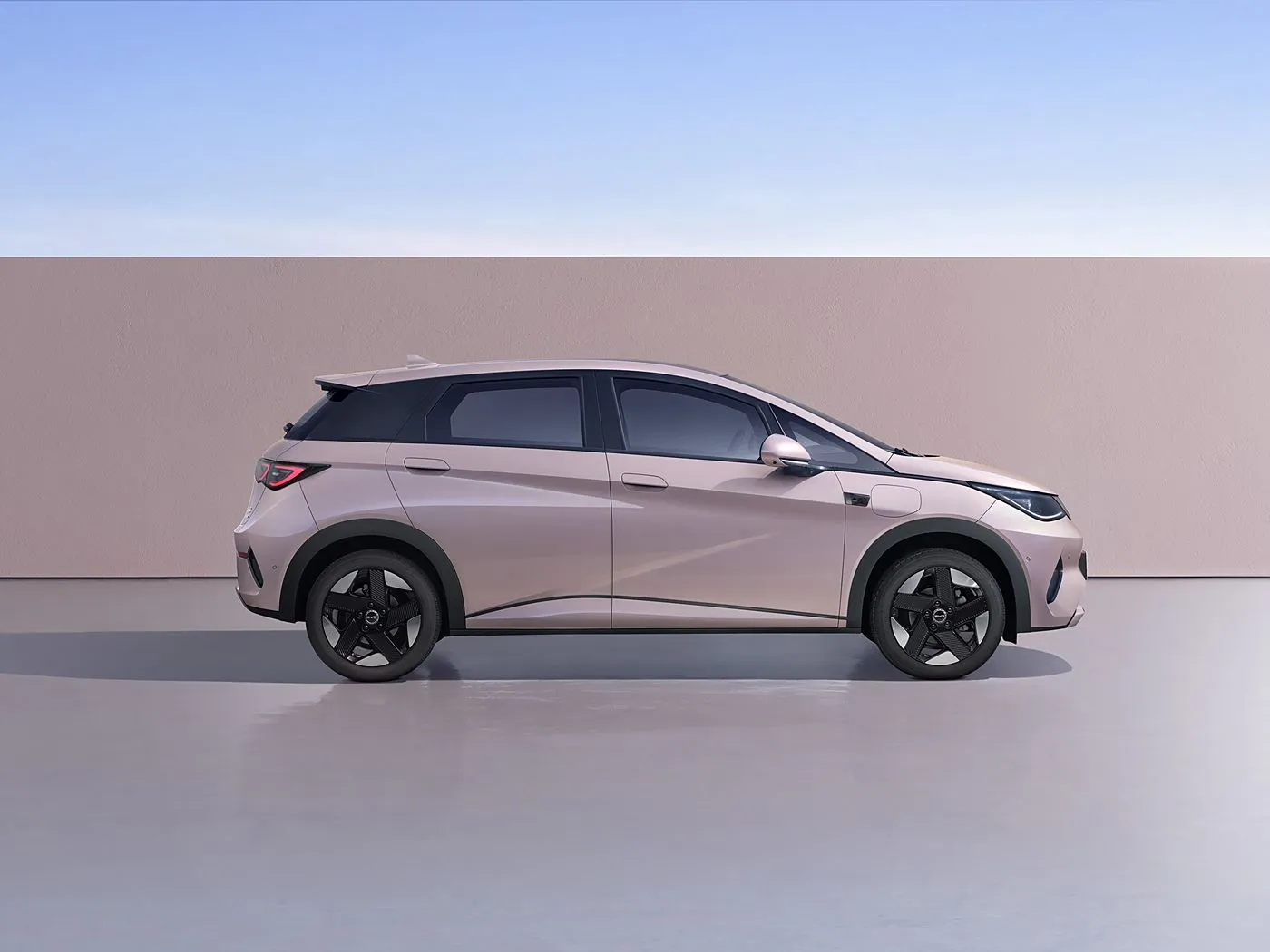 BYD Dolphin Urban Style Mini Electric Hatchback Fashion Edition עם טכנולוגיה חכמה רכב אנרגיה חדש