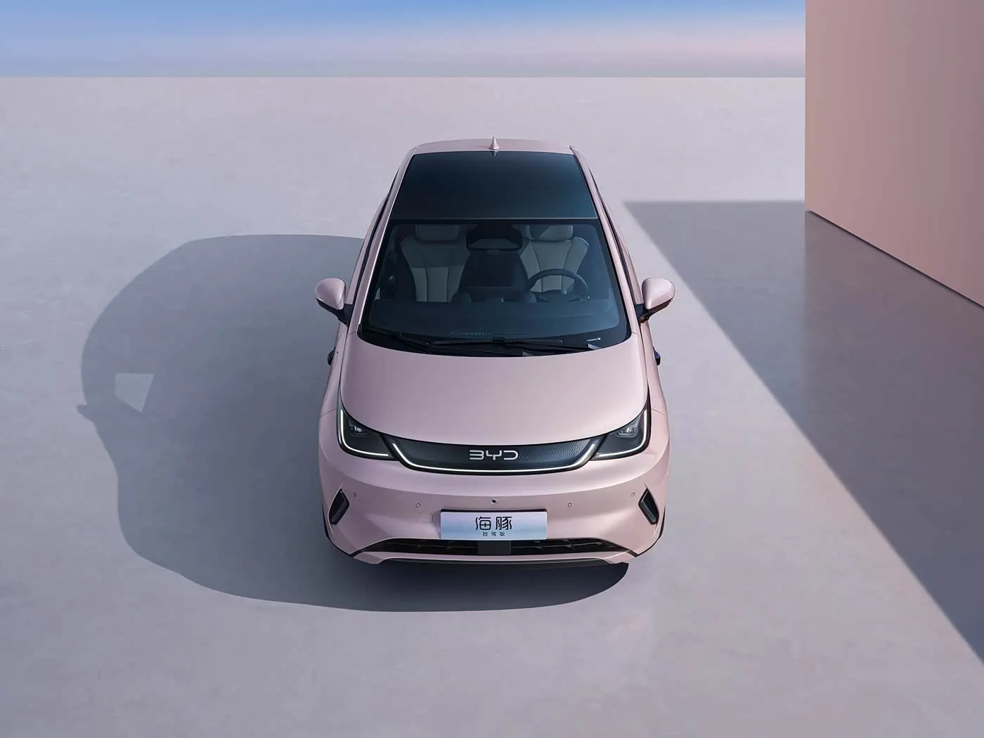 BYD Dolphin Urban Style Mini Electric Hatchback Fashion Edition עם טכנולוגיה חכמה רכב אנרגיה חדש